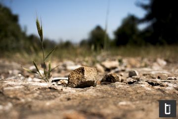 A small rock on dry ground photographed with shallow depth of field.